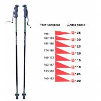 Трекинговые палки с двухкомпонентной ручкой, 105 см (Бийск)